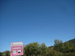 IMG_1246 IMG_1246