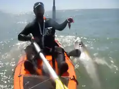 pesca tibu en kayak