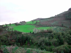 DSCN6320 DSCN6320