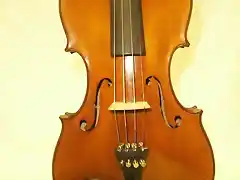 violin