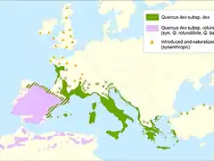 Example-of-a-chorological-map-of-the-holm-oak-Quercus-ilex-L-The-distributions-ranges JPG