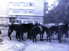 Alzira Av. Santos Patronos Valencia 1972