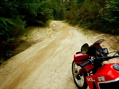 DSCN6311 DSCN6311