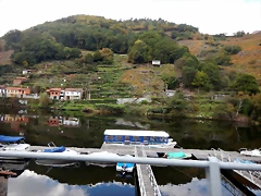 DSCN9862 DSCN9862