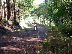 DSCN5485 DSCN5485
