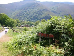 DSCN2146 DSCN2146