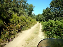 DSCN7135 DSCN7135