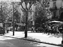 Barcelona Rambla de las Flores 1970 800