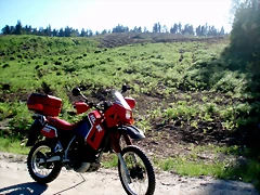 P1010131 P1010131