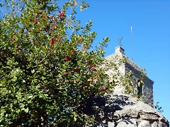 DSCN0365 DSCN0365