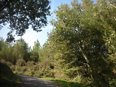 DSCN9718 DSCN9718