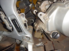 DSCN1379