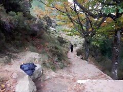 DSCN1902 DSCN1902