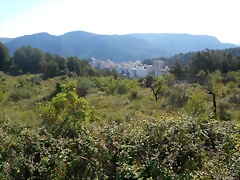 DSCN2332 DSCN2332