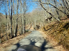 DSCN2686 DSCN2686