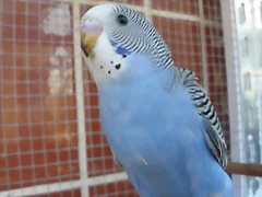P6220251