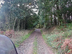 DSCN5281 DSCN5281