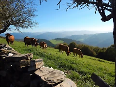 DSCN9552 DSCN9552