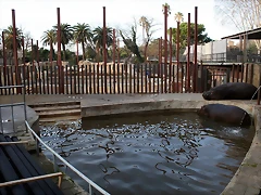 Zoo de Barcelona 07-01-2011 021 Zoo de Barcelona 07-01-2011 021