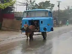 camion-chino-eco