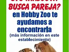 busca parejas