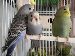20170501_131006