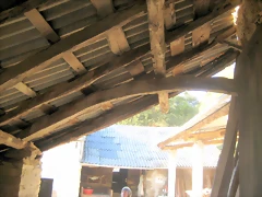IMG_0707 IMG_0707