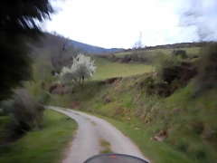 DSCN9685 DSCN9685