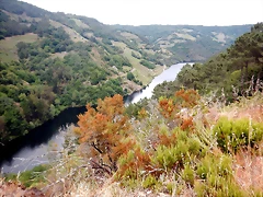 DSCN3524 DSCN3524