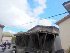 DSCN0579 DSCN0579