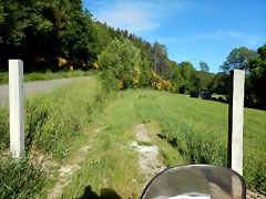 DSCN2415 DSCN2415