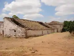 copia casillas trabajadores