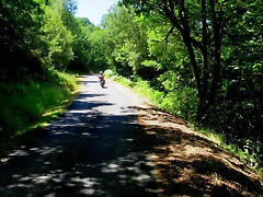 IMG_7725 IMG_7725