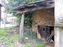 DSCN0251 DSCN0251