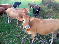 DSCN5833 DSCN5833