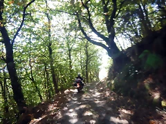 DSCN0462 DSCN0462
