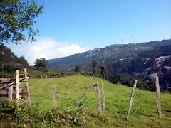 DSCN5687 DSCN5687