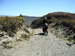 DSCF2526 DSCF2526