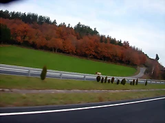 DSCN4971