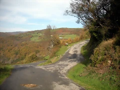 DSCN0495 DSCN0495