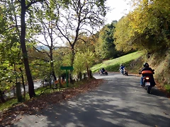 DSCN0550 DSCN0550