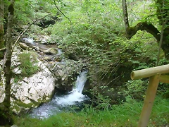 DSCN3759 DSCN3759