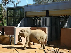 Zoo de Barcelona 03-04-11 030 Zoo de Barcelona 03-04-11 030
