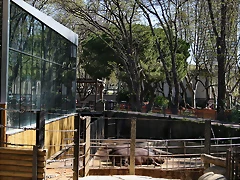 Zoo de Barcelona 03-04-11 032 Zoo de Barcelona 03-04-11 032
