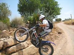 IMG_2138 IMG_2138