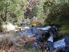 DSCN9213 DSCN9213