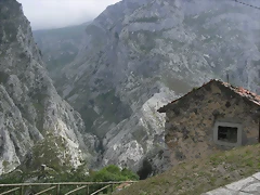 R0013136 R0013136