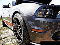 P3230707 P3230707