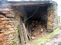 DSCN1164 DSCN1164
