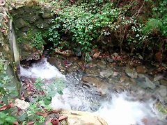 DSCN6282 DSCN6282